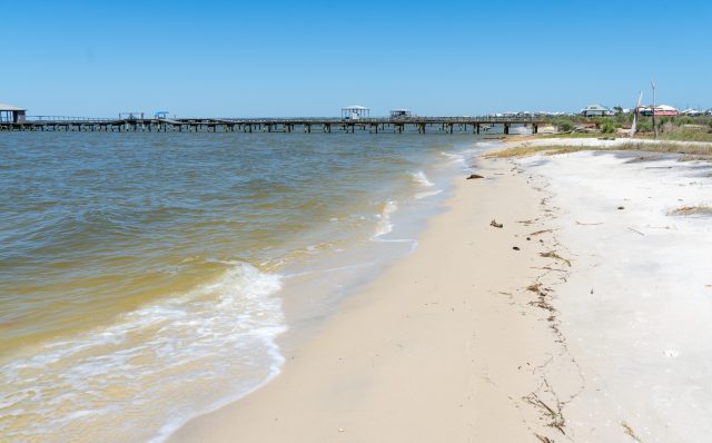 Tropical Paradise Private Beach Dauphin Island Vacation Rental