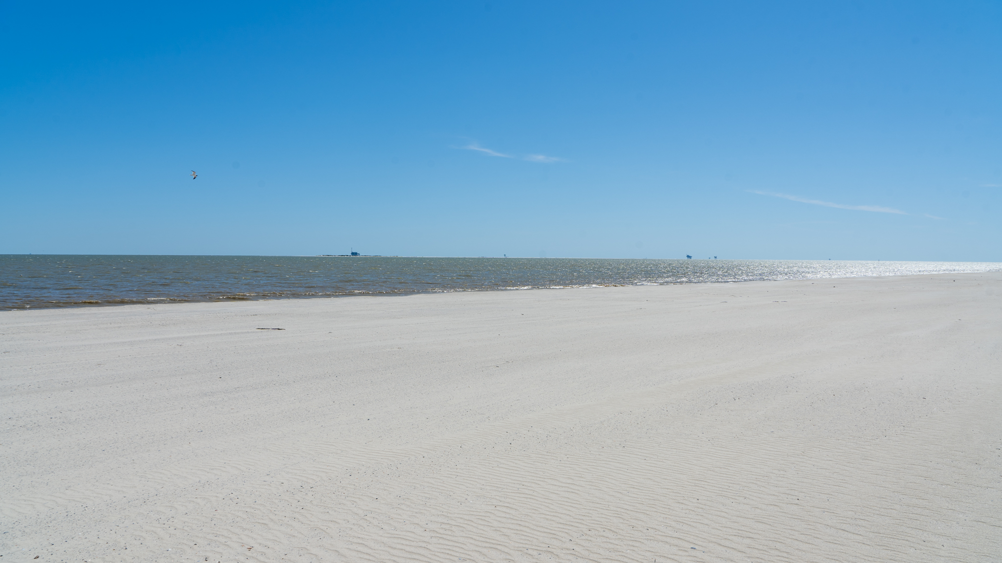 Restoring Dauphin Island's Natural Beauty: The East End Beach and Dune ...